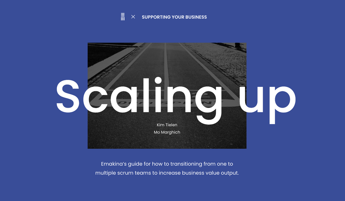 Scaling up Scrum Teams
